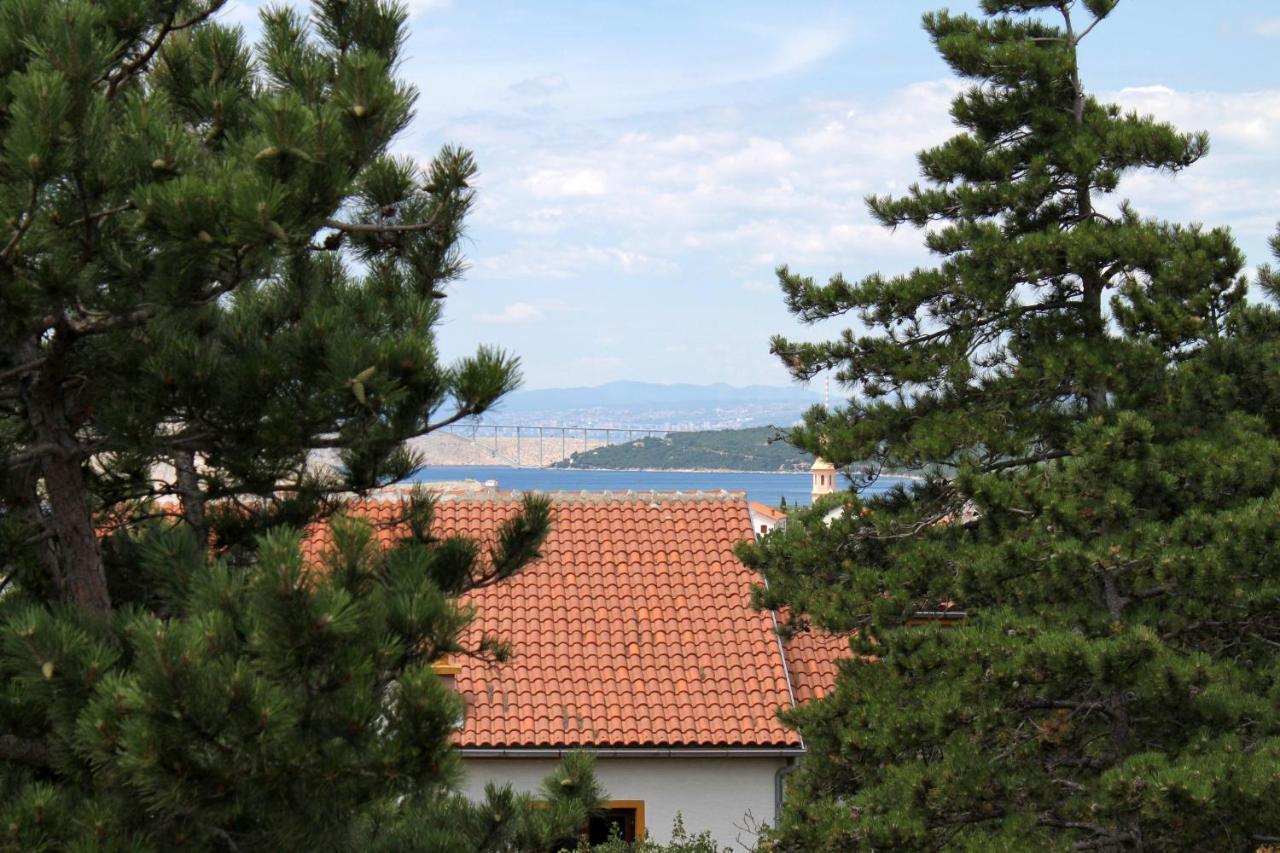 Apartments With A Swimming Pool Jadranovo, Crikvenica - 3238 エクステリア 写真